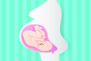 ���������������