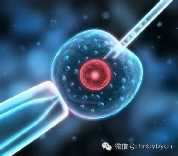 ����һ�����ڶ������������Թ�Ӥ����顷