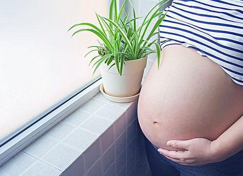 ����̥��������Σ�գ�ֻ�������Ѫѹ��