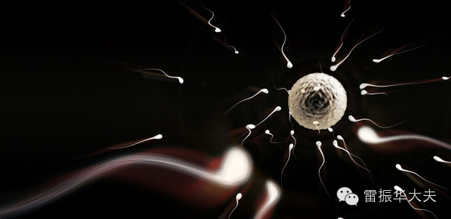 �����ӻ������ӵľŴ�ԭ��