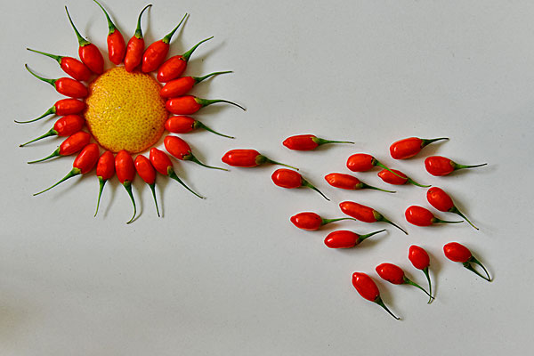 �����������½���Ӱ������������