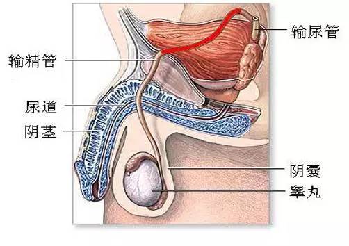 �����գ����Բ����ĳ�����顷