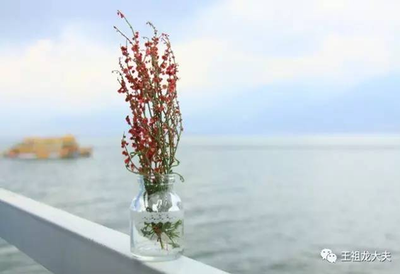 ���㲻�ò�֪�ġ�̥ͣ���������ܣ���