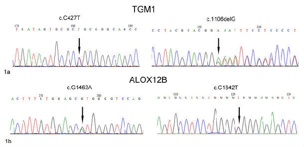 ��ȱ����������������������ϣ�����о�׼��ǰ��ϡ�