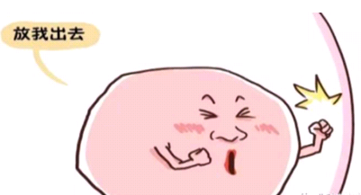 ʶصδݻػۺ