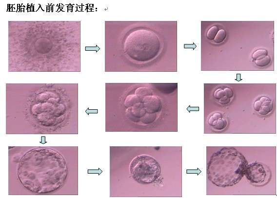 ���Թ�Ӥ�������ļ������ܡ�