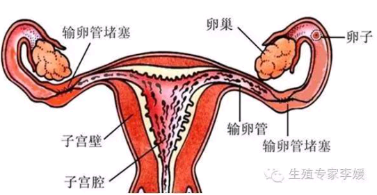 �����ѹ�����Ϊ�λ᲻�С�