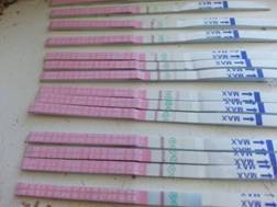 ���Ʋ������ڵ����󳣼�������