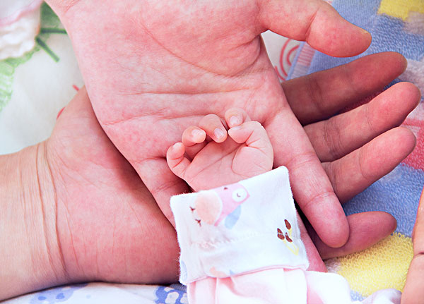 ��̥��������ʲô�о���׼�������˽���