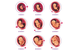 ��̥���μ�����ˮ������ʲô��˼��