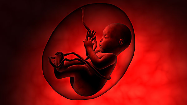 ��̥�̵���һ��Ҫ�Դ���Ϣ��