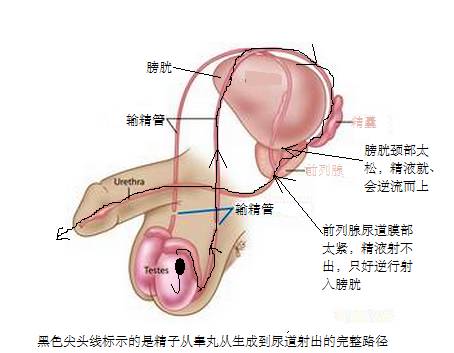 ���޾���֢Ҳ�����������У���