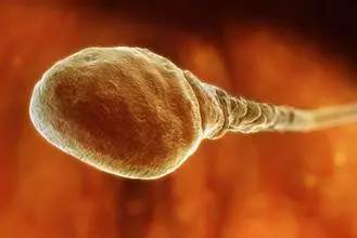 ���޾���֢���Ƶ����ַ�����