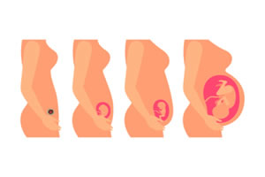 ���и����ճ����Ļ�����