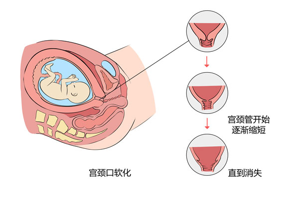 �������жϹ����������ˡ�